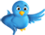 TWITT BIRD